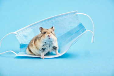 Similar image 21098186