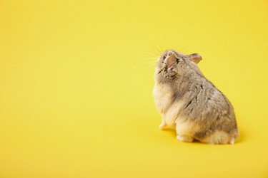 Similar image 21098187