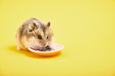 Similar image 21098188