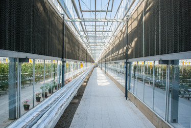 Similar image 21093818