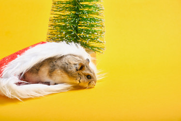 Similar image 21095993