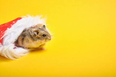 Similar image 21095997