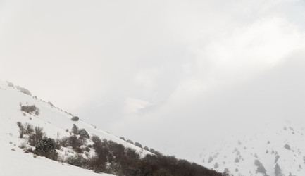 Similar image 21081792