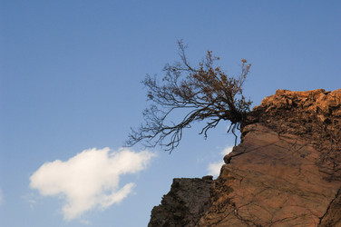 Similar image 21082315