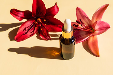 Similar image 21090655