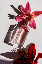 Similar image 21090658