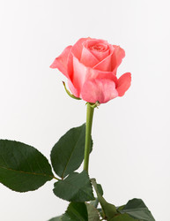 Similar image 21085079