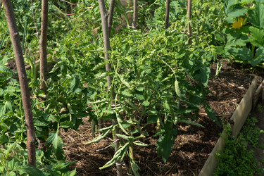 Similar image 21095543