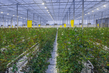 Similar image 21095548