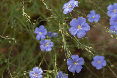 Similar image 21120297