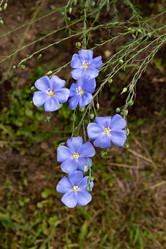 Similar image 21120298