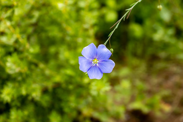 Similar image 21120299