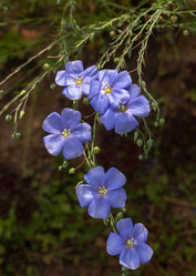 Similar image 21120301