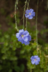 Similar image 21120302