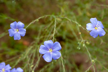 Similar image 21120303