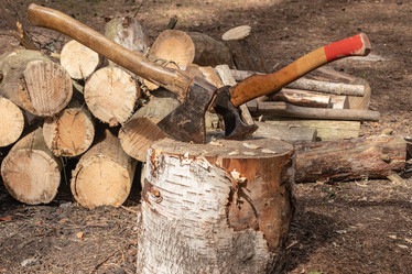 Similar image 21120306