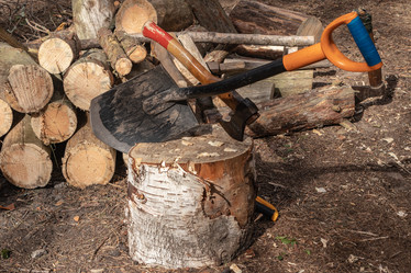 Similar image 21120307