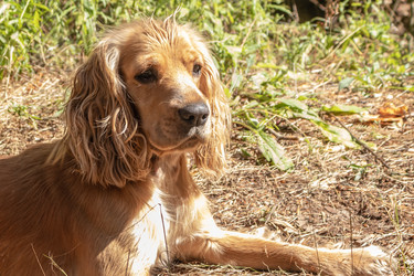 Similar image 21120309