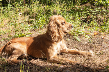 Similar image 21120310