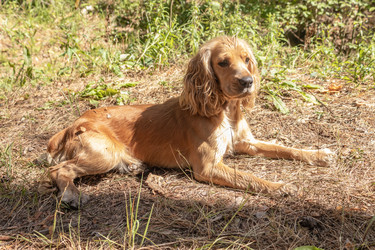 Similar image 21120311