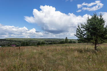 Similar image 21120312