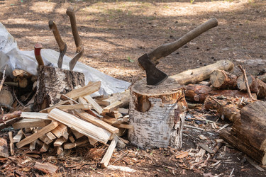 Similar image 21120313