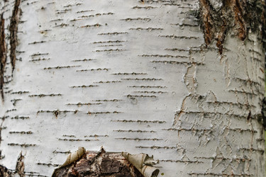 Similar image 21120315