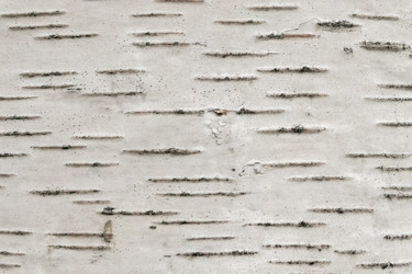 Similar image 21120620