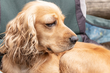 Similar image 21120739