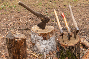 Similar image 21120741