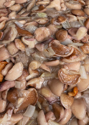 Similar image 21120743