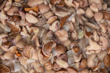 Similar image 21120744