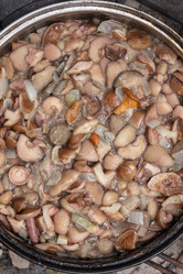 Similar image 21120745