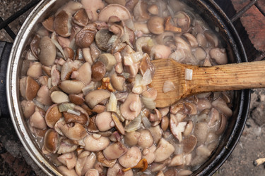 Similar image 21120746