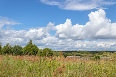 Similar image 21120752