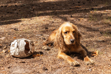 Similar image 21120753