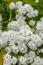 Similar image 21120755