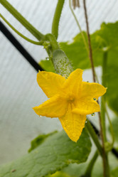 Similar image 21120756