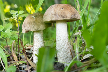 Similar image 21120758