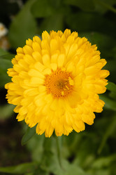 Similar image 21120759