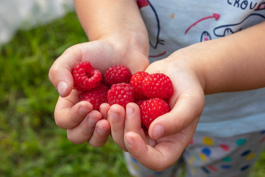 Similar image 21120760