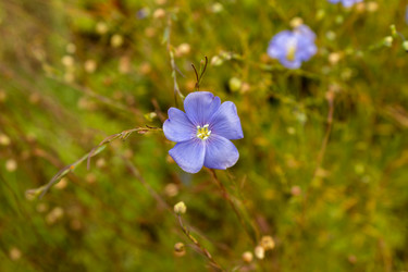 Similar image 21120761