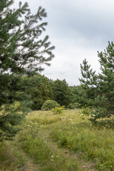 Similar image 21121104