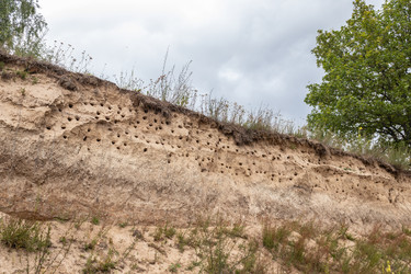 Similar image 21123663