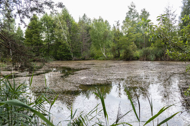 Similar image 21123668