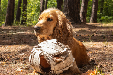 Similar image 21123669