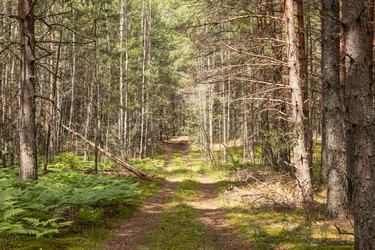 Similar image 21123670