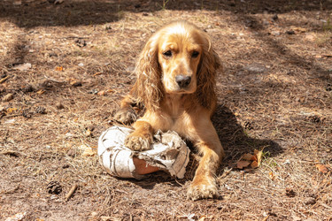 Similar image 21123671