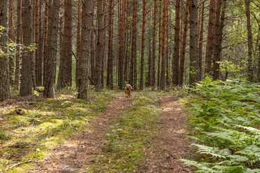 Similar image 21123673