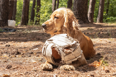 Similar image 21123674